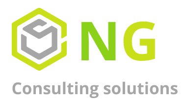 NG CONSULTING SOLUTIONS