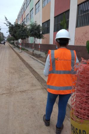 Consultoría en Seguridad y Salud en el trabajo SST