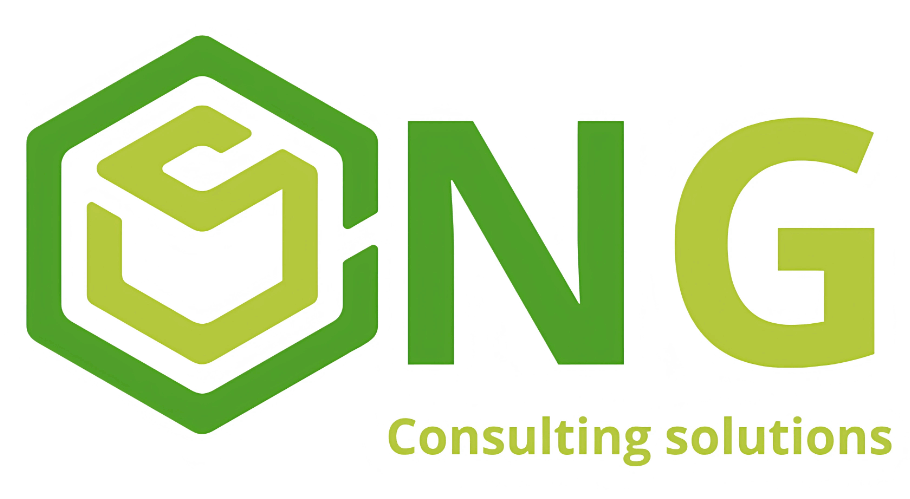 NG CONSULTING SOLUTIONS